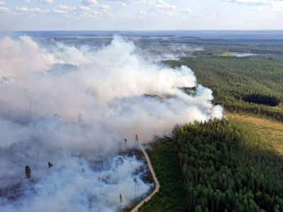 Горящие леса рядом с Сямозером в Пряжинском районе Карелии. Фото: Илья Тимин / РИА Новости